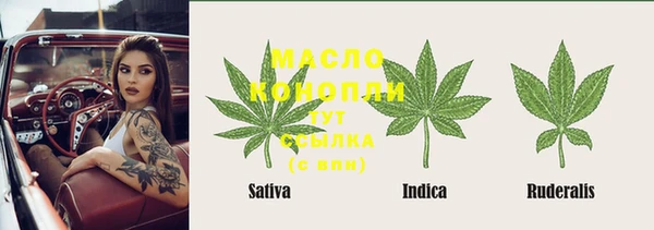 spice Алзамай
