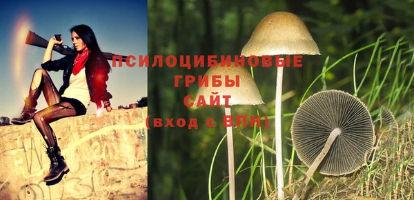 spice Алзамай