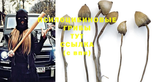 хмурый Алексеевка