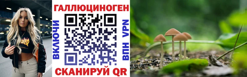 Псилоцибиновые грибы прущие грибы  как найти закладки  kraken зеркало  Орлов 
